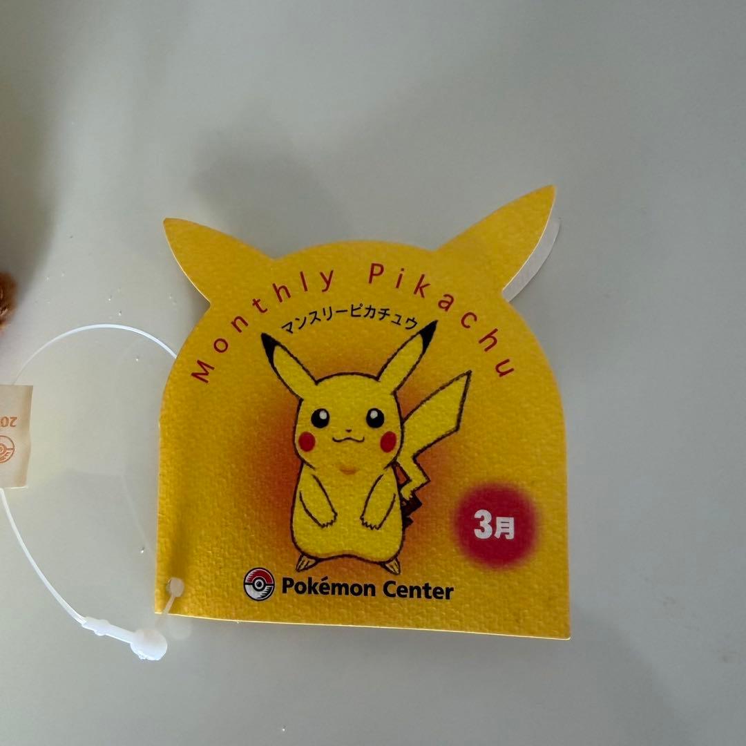 ポケモン　ポケットモンスターマンスリーピカチュウ2003年3月②