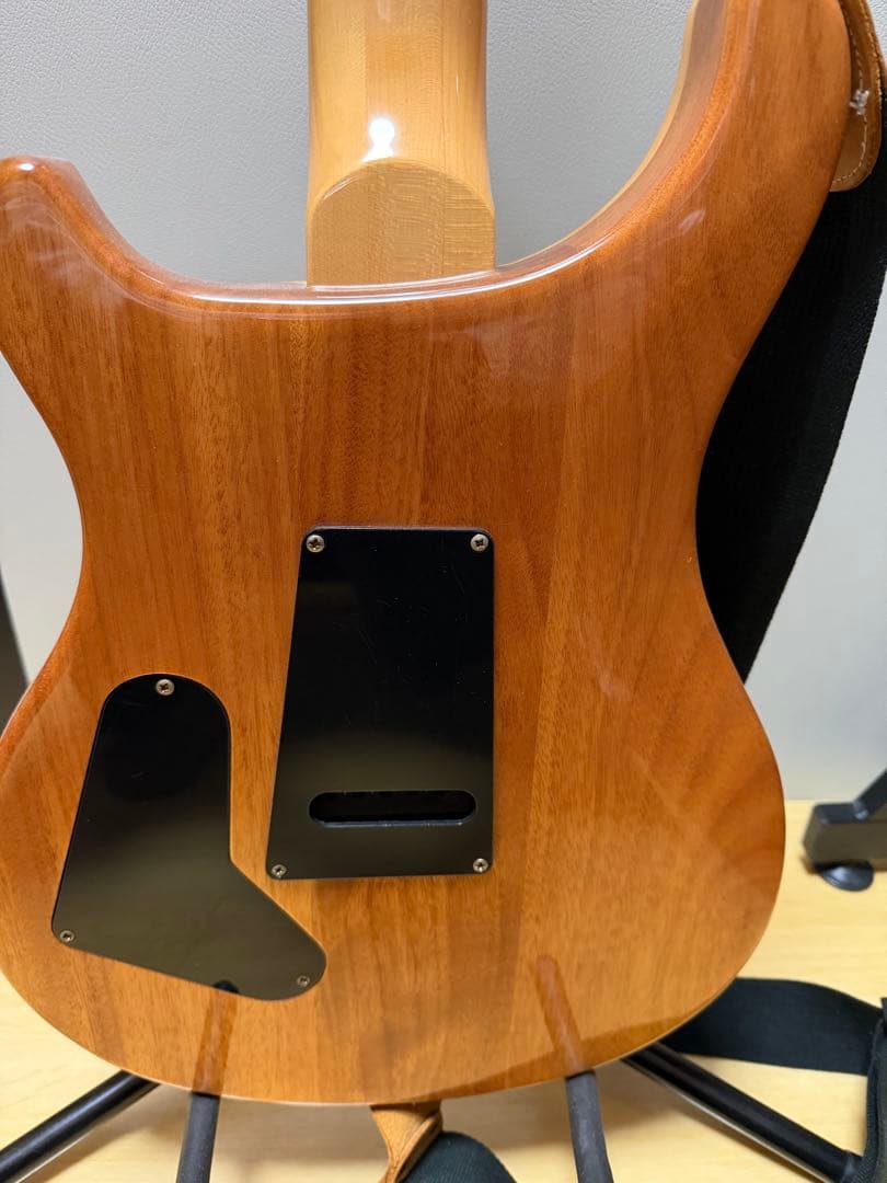 PRS SE custum24 グリーン　ソフトケース付き