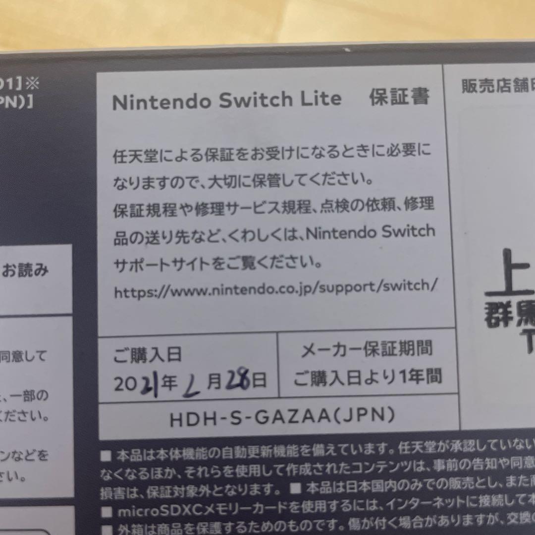 Nintendo Switch Lite グレー　箱あり、ケース付き