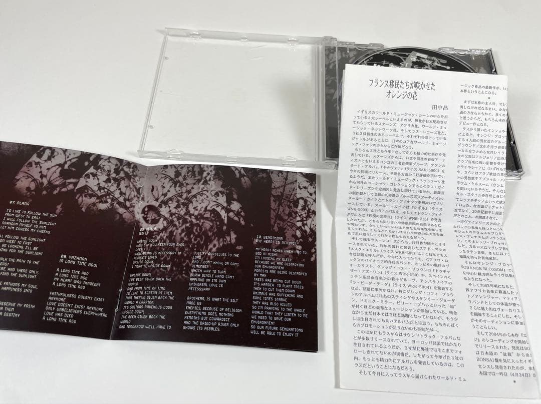 洋楽 Orange Blossom Everything Must Change CD
