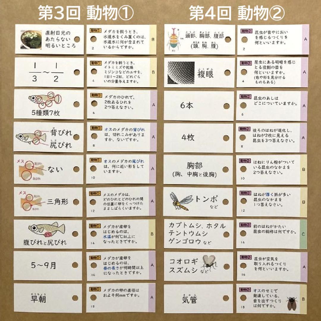 ☆大特価☆カット済 【中学受験】理科の基本事項 5・6年暗記カード フルセットb